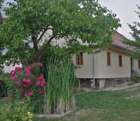 Cimprača 31