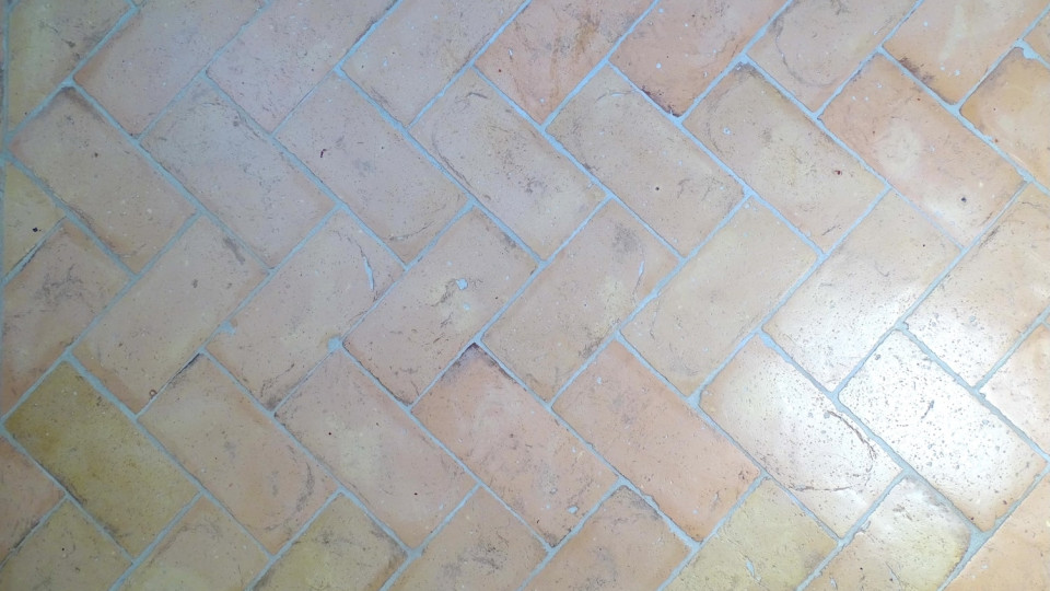 Terra Cotta gialla ribja kost z obrobo 10