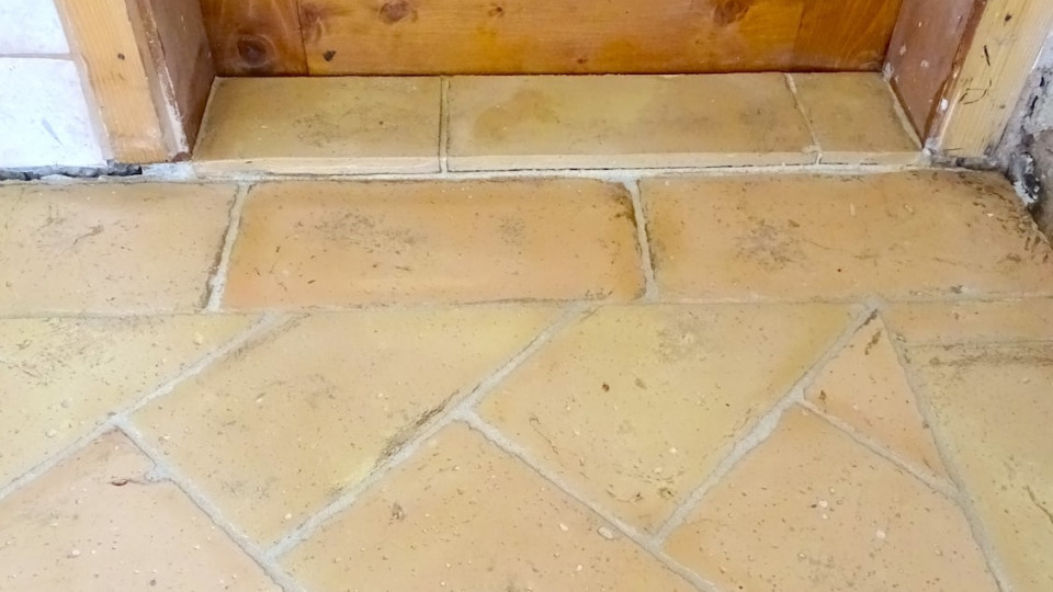 Terra Cotta gialla ribja kost z obrobo 12