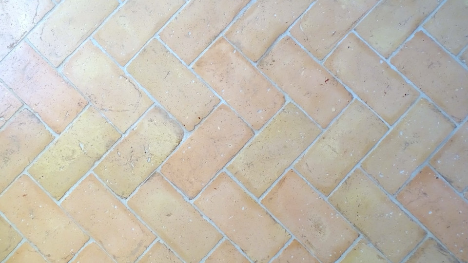 Terra Cotta gialla ribja kost z obrobo 14