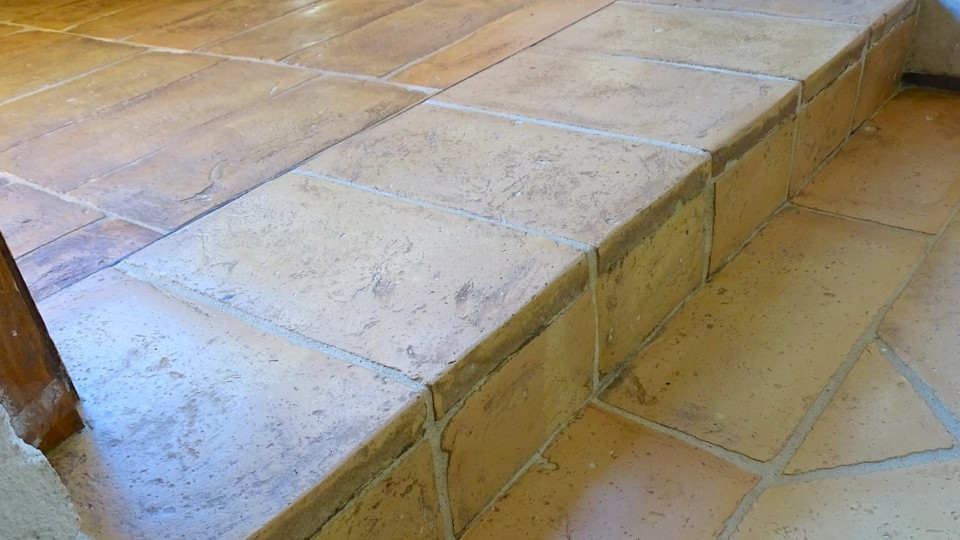 Terra Cotta gialla ribja kost z obrobo 21