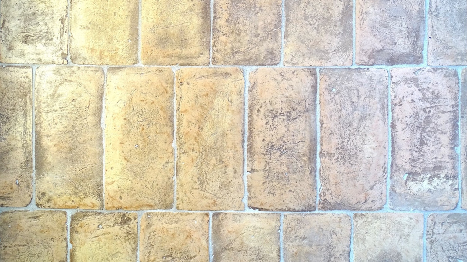 Terra Cotta gialla ribja kost z obrobo 2
