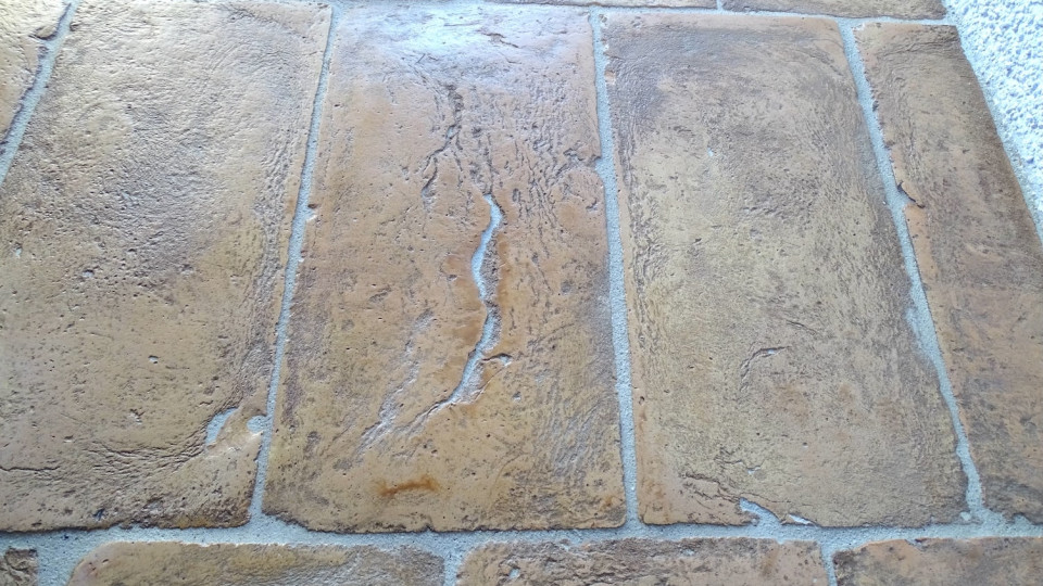 Terra Cotta gialla ribja kost z obrobo 5
