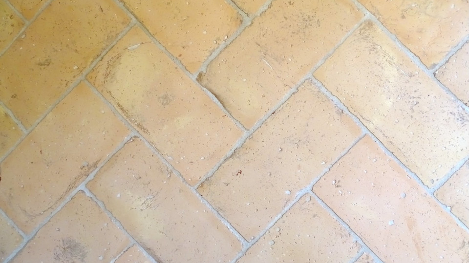 Terra Cotta gialla ribja kost z obrobo 13